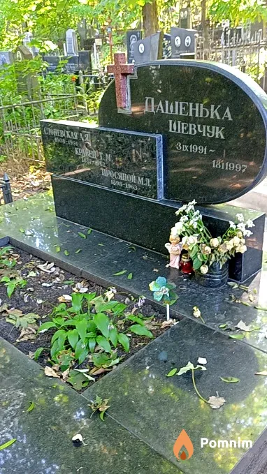 Слоневская А Я