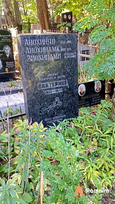 Анохин Я В