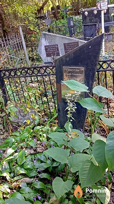 Соколова Антонина Герасимовна