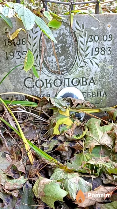 Соколова Евгения Алексеевна