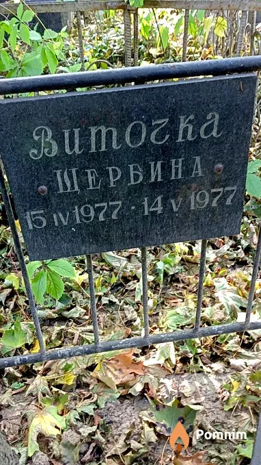 Щербина Вита