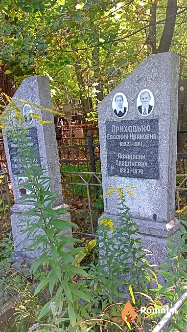 Власюк Александра Афанасьевна