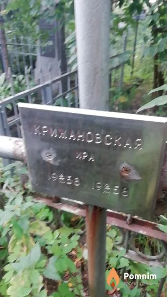 Крижановская Ира .