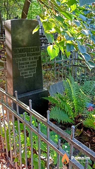 Немировский Александр Иосифович