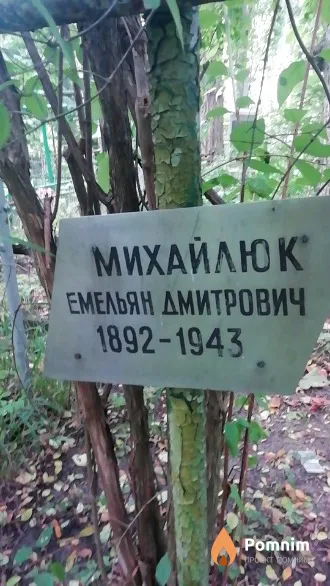 Михайлюк Емельян Дмитрович