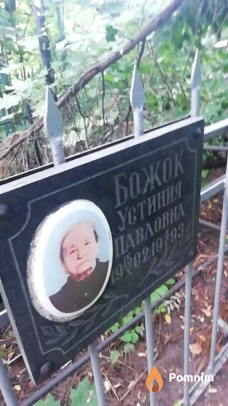 Божок Устиния Павловна