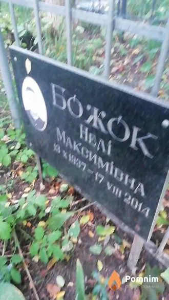 Божок Нели Максимовна
