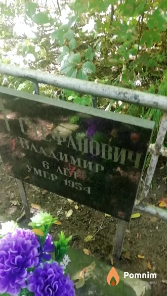 Стефанович Владимир