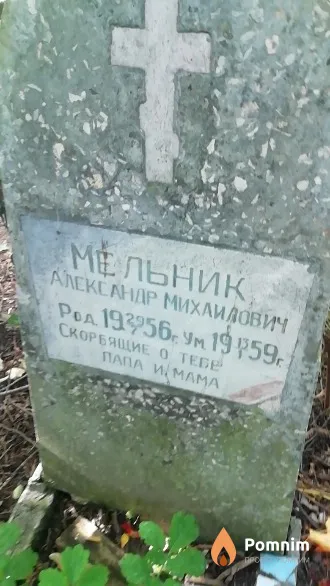 Мельник Александр Михайлович