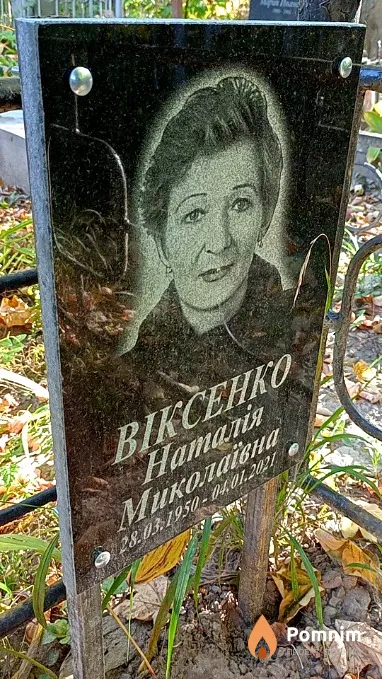 Віксенко Наталія Миколаївна