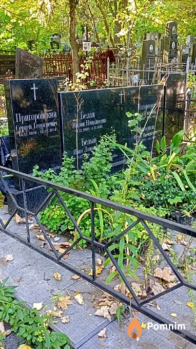 Пригоровский Сергей Георгиевич