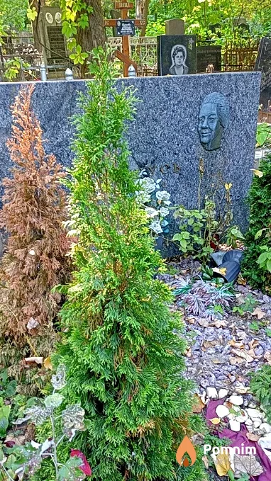 Щусь О И