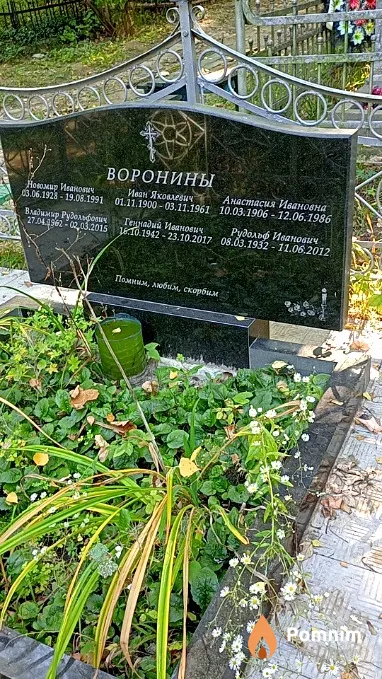 Воронина Анастасия Ивановна