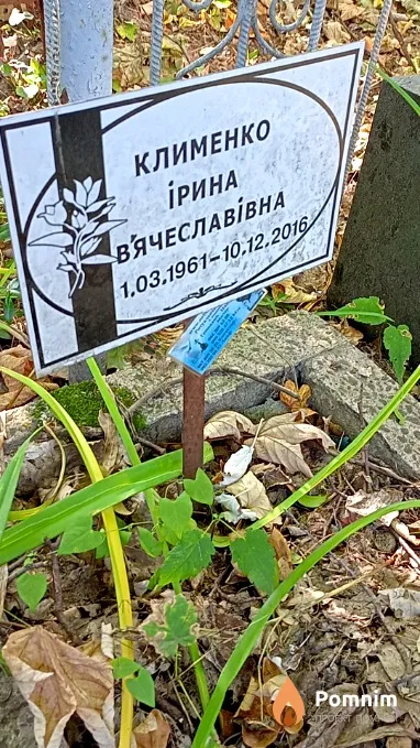 Клименко İрина В'ячеславівна