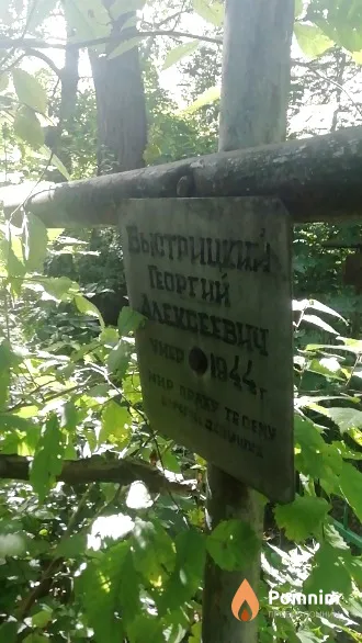Быстрицкий Георгий Алексеевич