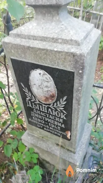 Дышлюк Анастасия Дмитриевна