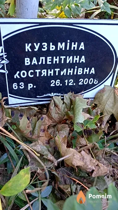 Кузьміна Валентина Костянтинівна