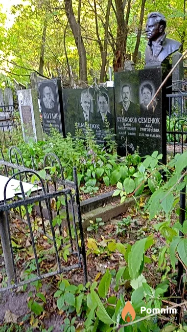 Семенюк Алла Григорьевна