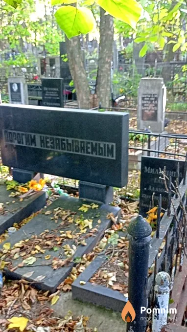 Милешина Елена Адамовна