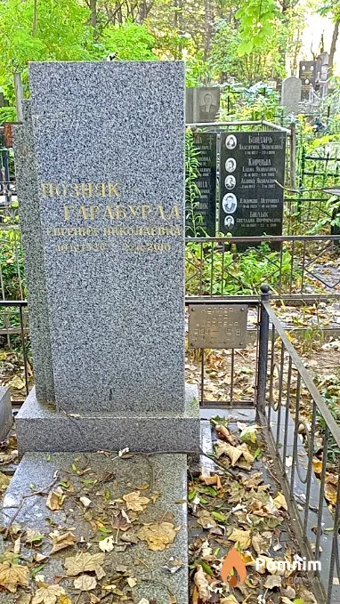 Ноллер Сура Ушеровна