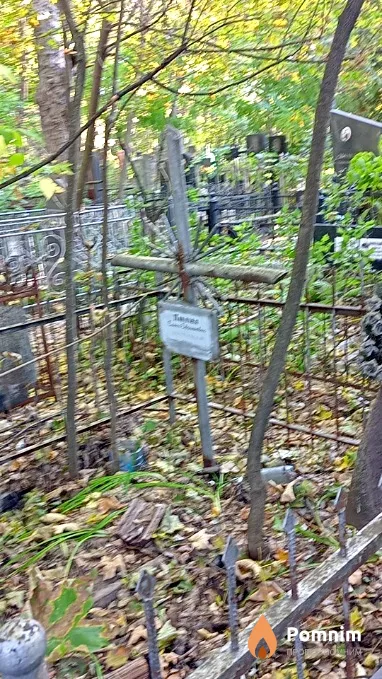 Павлова Елена Евгеньевна