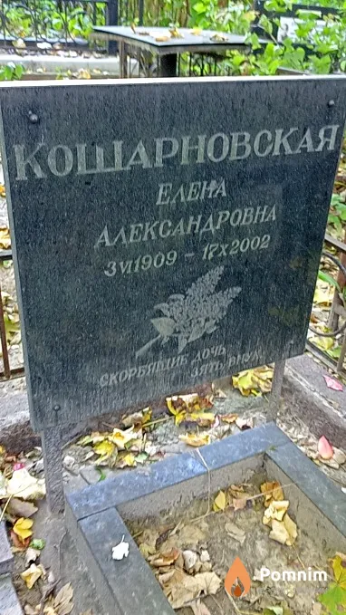 Кошарновская Елена Александровна
