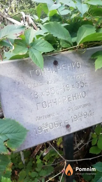 Гончаренко Александр Петрович
