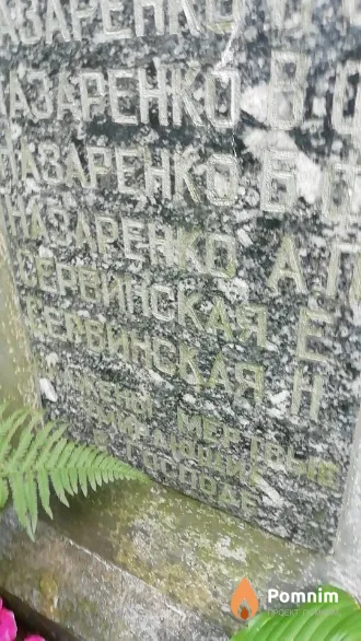 Сервинская Е.