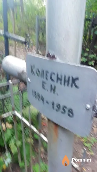 Колесник Е. Н.