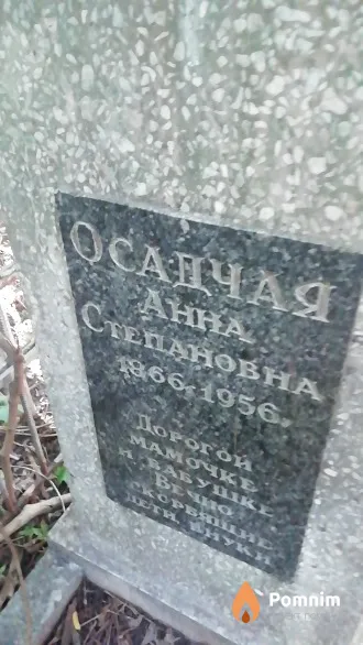Осадчая Анна Степановна