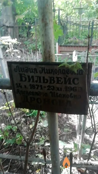 Бильвейс Лидия Николаевна