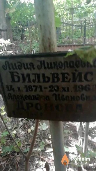 Бильвейс Лидия Николаевна