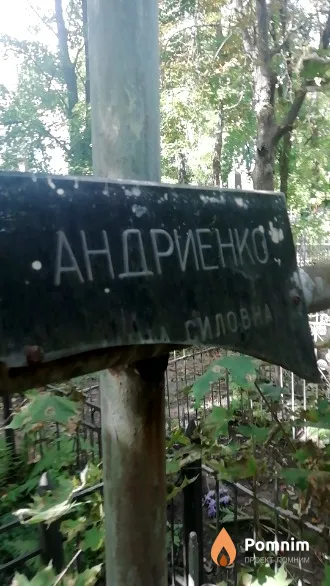 Андриенко . Силовна