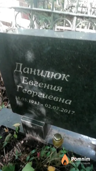 Данилюк Евгения Георгиевна