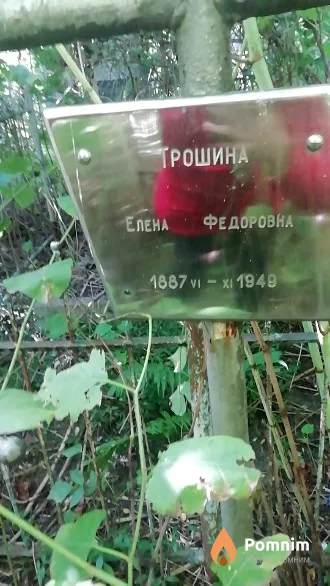 Трошина Елена Федоровна