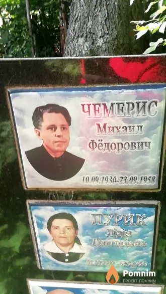 Чемерис Михаил Фёдорович