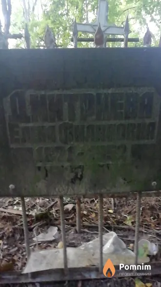 Дмитриева Елена