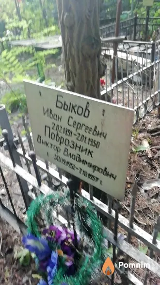 Быков Иван Сергеевич