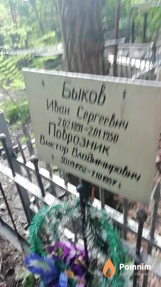 Поврозник Виктор Владимирович