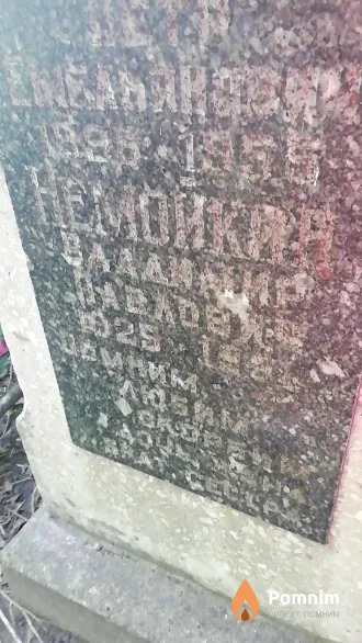 Немойкин Владимир Павлович