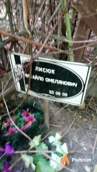 Лисюк Михаил Омельянович