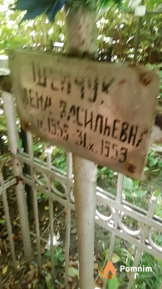 Шевчук Елена Васильевна