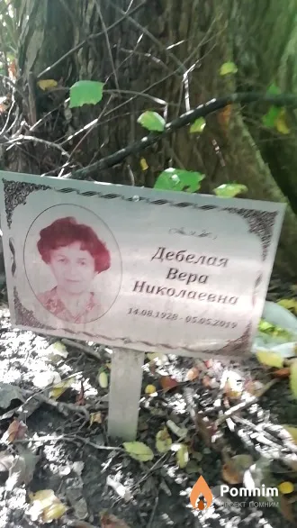Дебелая Вера Николаевна