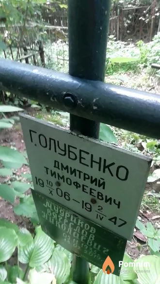 Голубенко Дмитрий Тимофеевич