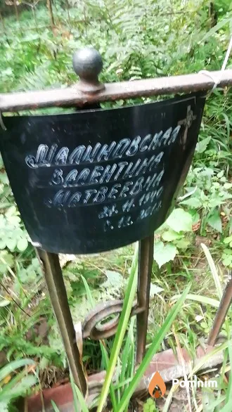 Малиновская Валентина Матвеевна