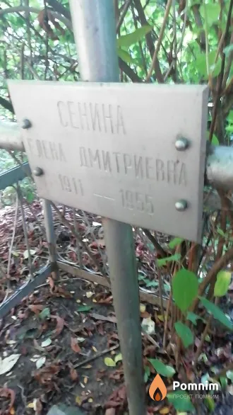 Сенина Елена Дмитриевна
