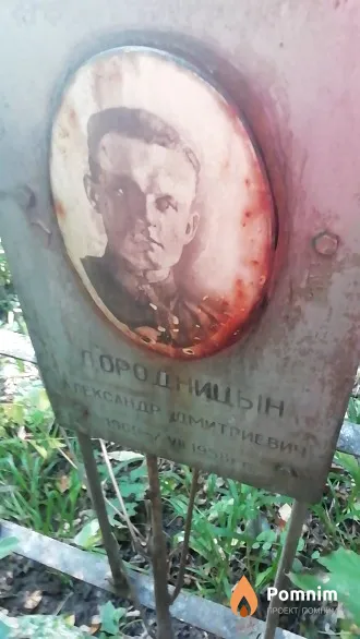 Дородницын Александр Дмитриевич