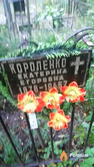 Короленко Екатерина Егоровна