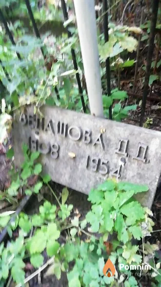 Велашова Д. Д.