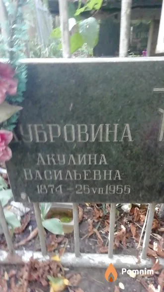 Дубровина Акулина Васильевна